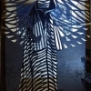 light box, photocopy silhouette,  size ca.20 x 27 cm