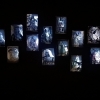 Fotokopie-Scherenschnitt, Fotografie, Karton, LED Lampen, 13 Lichtboxen - Wand Installation, einzeln ca. 20 x 27/8 cm